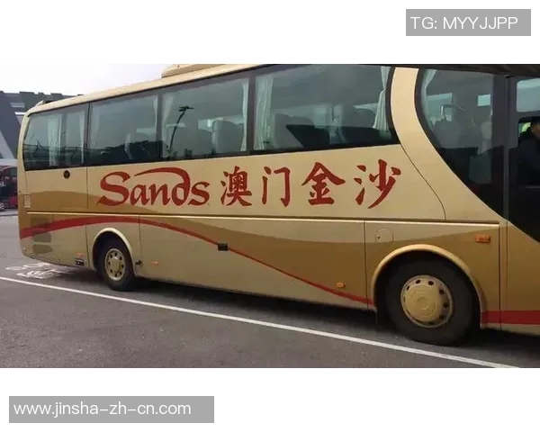 澳门金沙博彩官方网址-澳门金沙博彩，探索官方网址的魅力-澳门金沙博彩官方网址